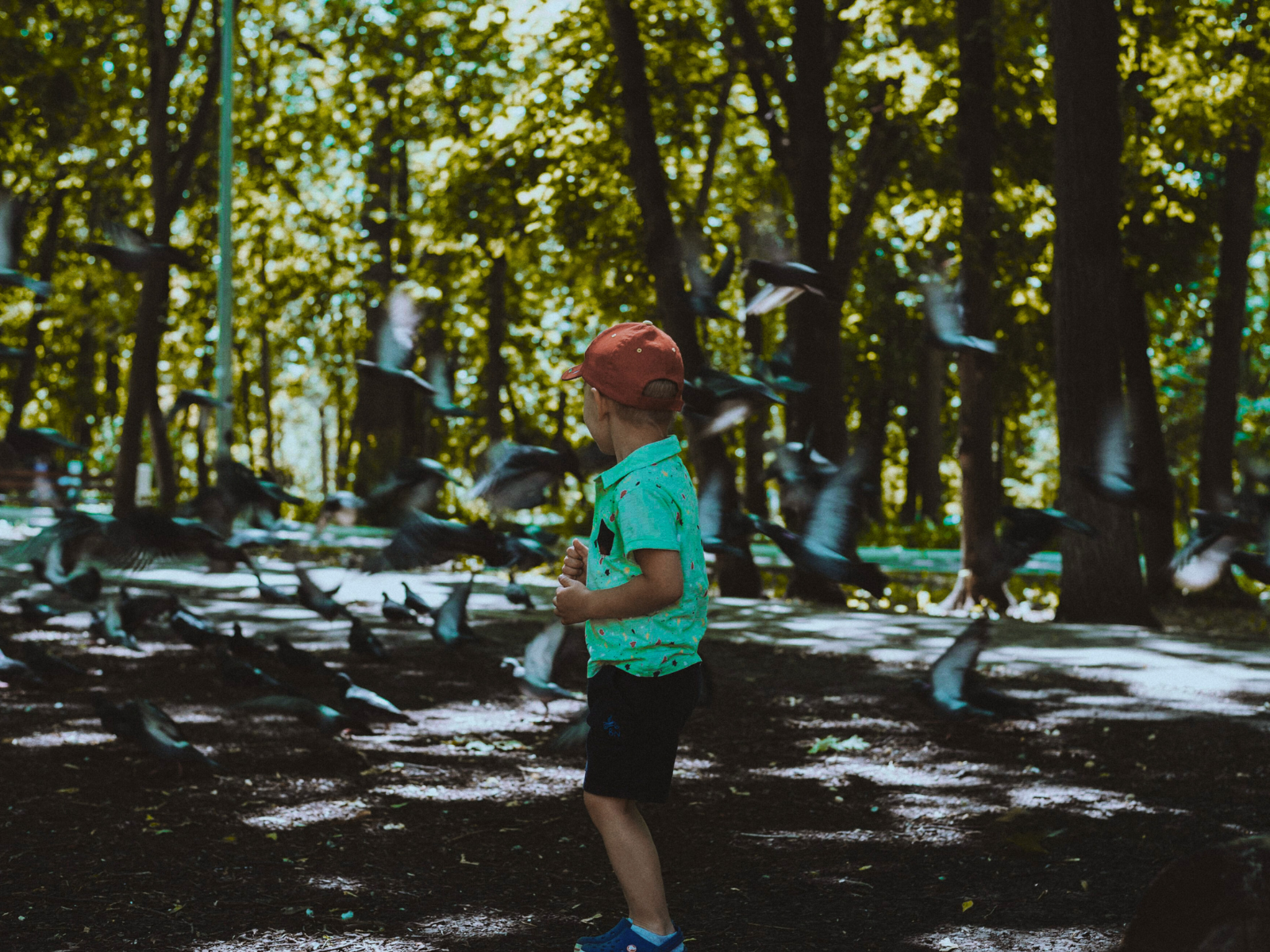 A kid surrounded by trees and birds. 