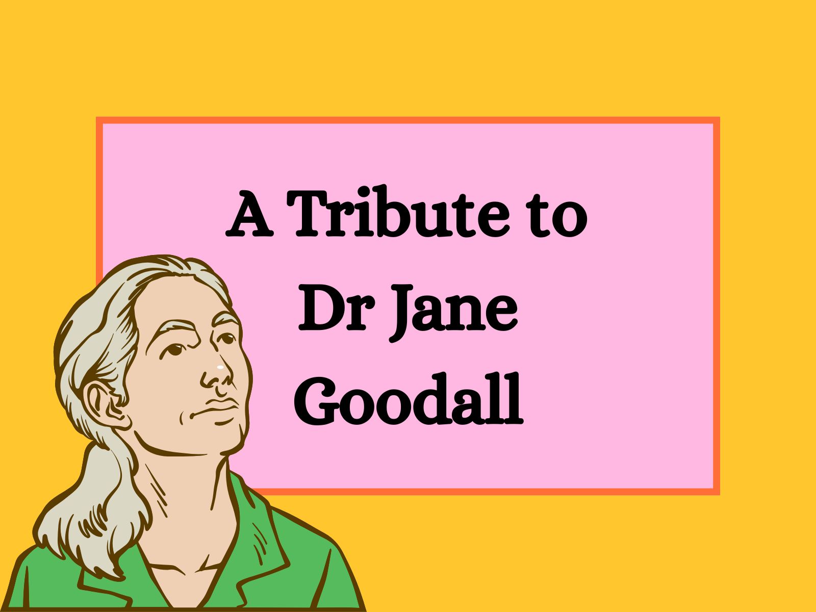 A drawing of Jane Goodall and the words 'A Tribute to Dr Jane Goodall'